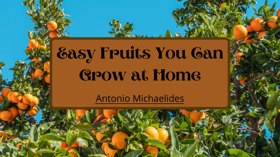 Antonio Michaelides Easy Fruits You Can Grow at Home